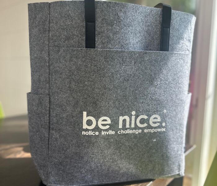 be nice. felt bag