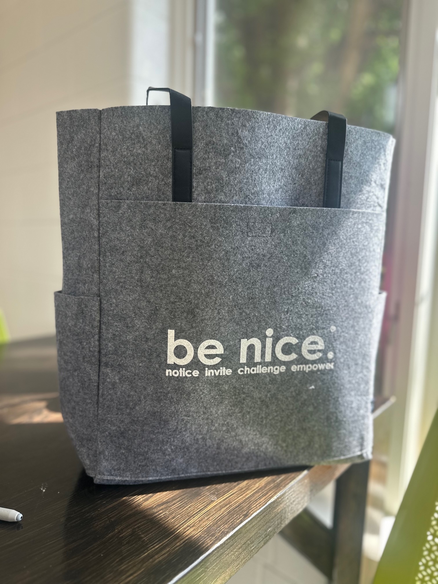 be nice. felt bag